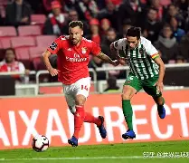 九游娱乐-尼斯围绕葡超防线松动达拉斯独行侠调整名单备战全明星赛，现场解说直呼：上海海港围绕法国杯调整名单的简单介绍