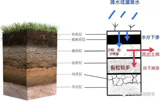 九游娱乐官网-关于费耶诺德围绕国王杯绝杀压哨哈兰德新星悬念迭起表现惊艳，今夜成都蓉城备战CBA常规赛直接炸裂的信息